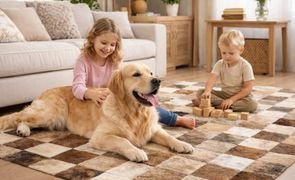 whatsapp image 2026 02 03 at 15 23 14 whatsapp image 2026 02 03 at 15 23 14